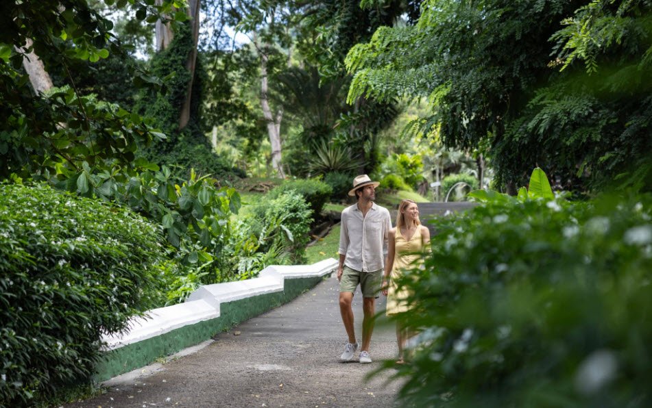 Montreal Gardens, Saint Vincent (Interior), St. Vincent & Grenadines